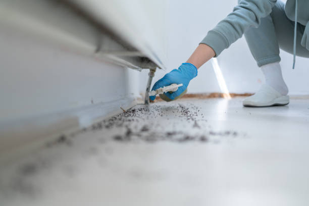 Best Bed Bug Extermination  in , MA